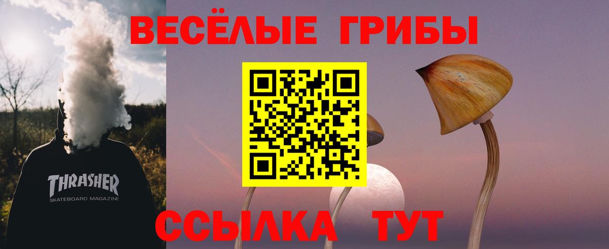 Галлюциногенные грибы GOLDEN TEACHER Оренбург